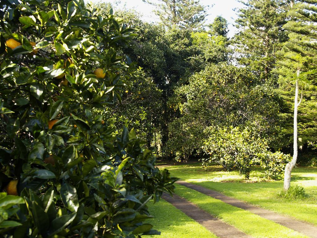 Hideaway Retreat Hotel Burnt Pine Eksteriør billede